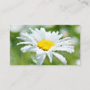 Chamomile daisy Blume Ölmalerei Wirkung Sonnensche Visitenkarte