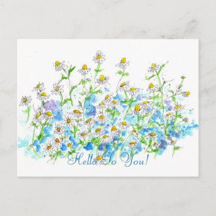 Chamomile Daisy Garden Postkarte