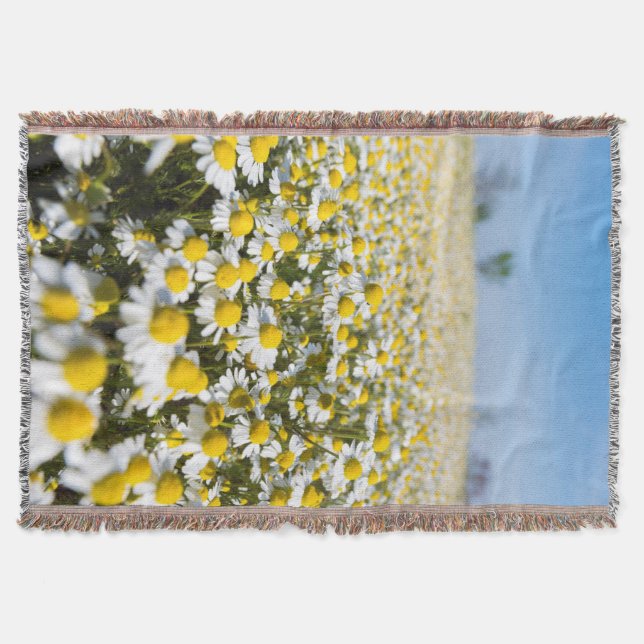 Chamomile Field, Ungarn Decke (Vorderseite)