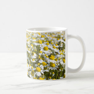 Chamomile Field, Ungarn Kaffeetasse
