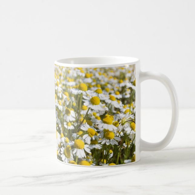 Chamomile Field, Ungarn Kaffeetasse (Rechts)