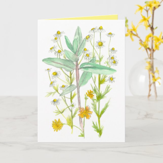 Chamomile Milkweed Garden Blume denken Karte (Gelbe Blume)