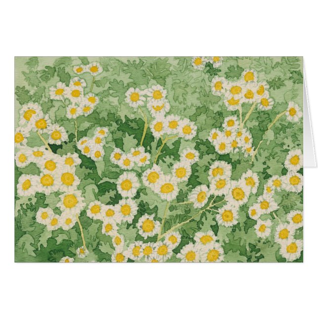 Chamomiles-Karte (Vorderseite (Horizontal))
