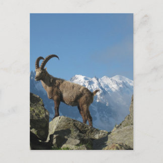 Chamonix Postkarte