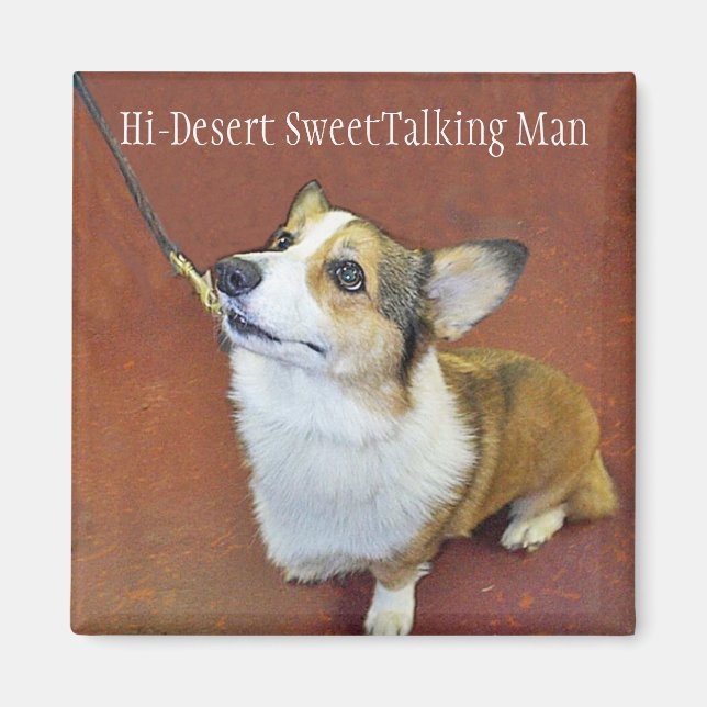 Champ-Leine-Magnet mit Text Magnet (Vorne)