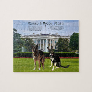 Champ & Major Biden, Puzzle