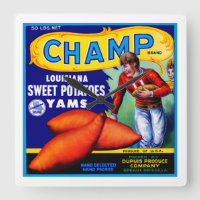 Champ Sweet Potato