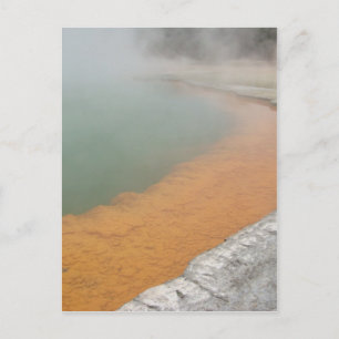 Champagne Pool Postkarte