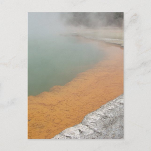Champagne Pool Postkarte (Vorderseite)