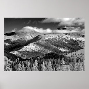 Champagne Snowscape Poster