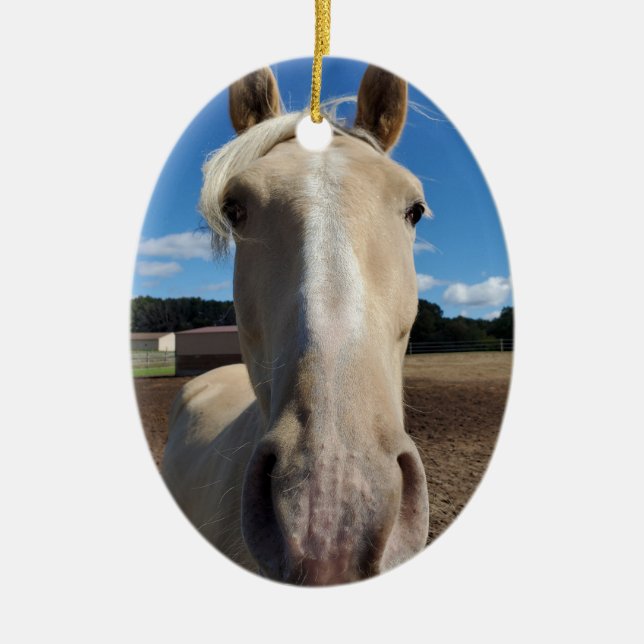 Champagne Tennessee Wanderross Ornament (Vorne)