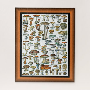 Champignons Für Alle ~ Pilze Für Alle ~ Puzzle
