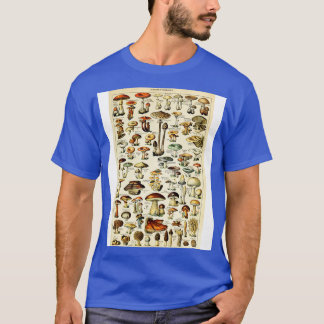Champignons Mushrooms Vintag Botanische Illustrati T-Shirt