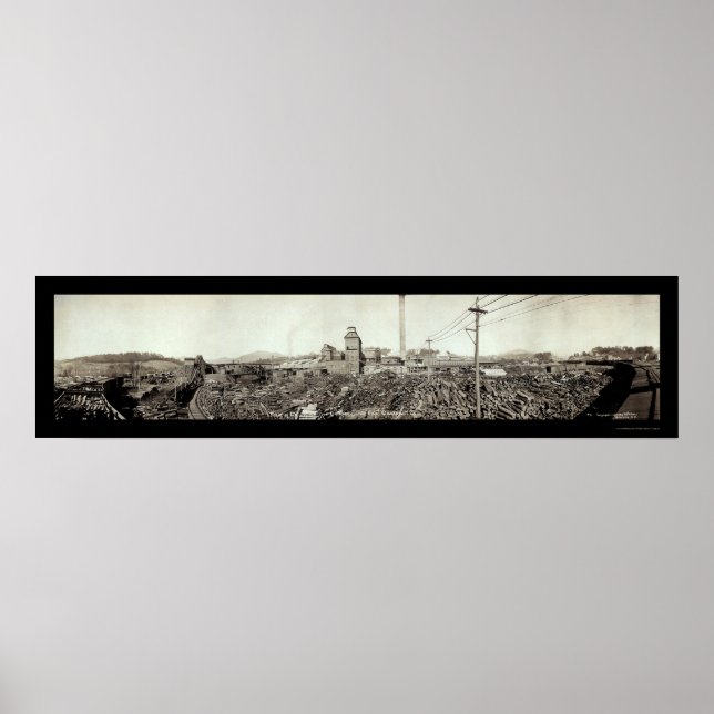 Champion Fibre Lumber Foto 1910 Poster (Vorne)