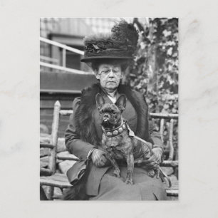 Champion French Bulldog in den 20er Jahren Postkarte