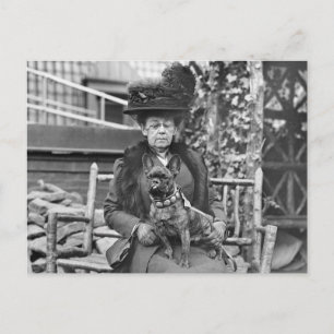 Champion French Bulldog in den 20er Jahren Postkarte