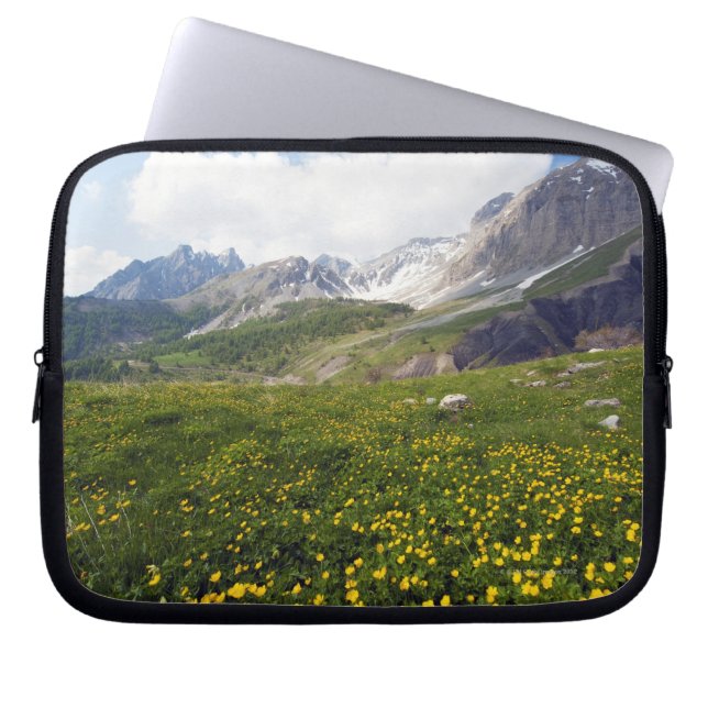 Champions-Durchlauffrühling französisches Laptopschutzhülle (Vorderseite)