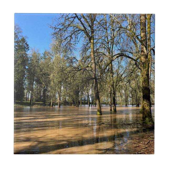 Champoeg Staat Park, Saint Paul, OR Fliese (Vorderseite)
