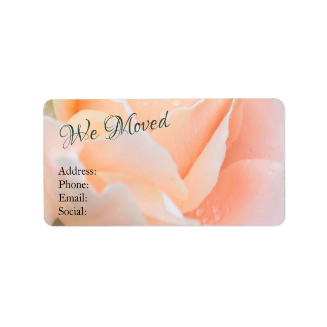 Change of Address – Elegant Peach Rose Floral Adressaufkleber (Vorne)