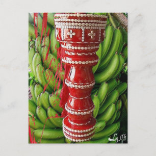 CHANGO RACIMO BATEA POSTKARTE