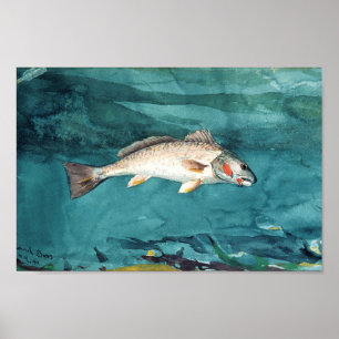 Channel Bass American Painting von Homer Poster