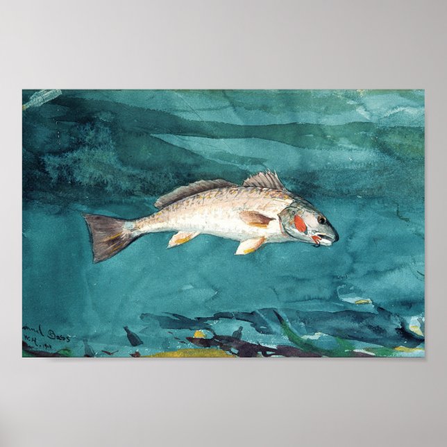 Channel Bass American Painting von Homer Poster (Vorne)