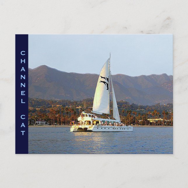 Channel Cat bei Sunset Postkarte (Vorderseite)