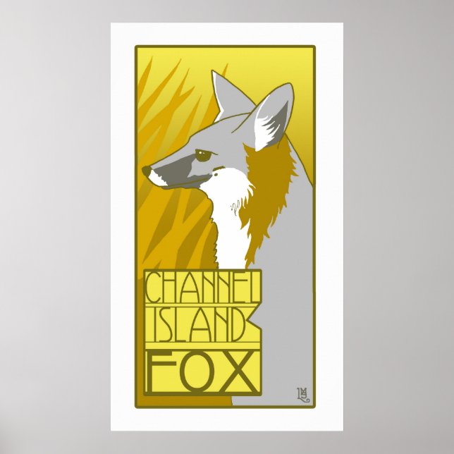 Channel Island Fox Poster (Vorne)