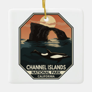 Channel Islands National Park Dolphin Retro Emblem Keramikornament