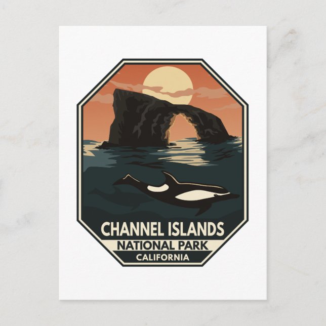 Channel Islands National Park Dolphin Retro Emblem Postkarte (Vorderseite)
