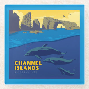 Channel Islands National Park Dolphins Glasuntersetzer
