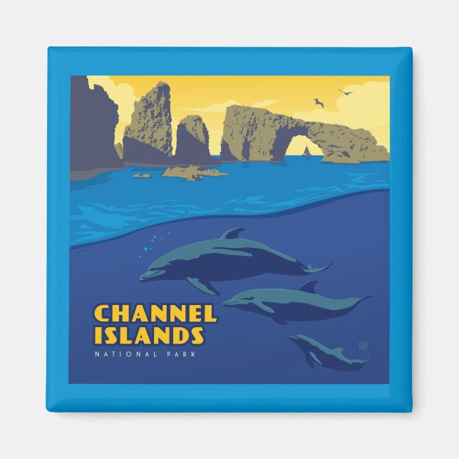 Channel Islands National Park Dolphins Magnet (Vorne)