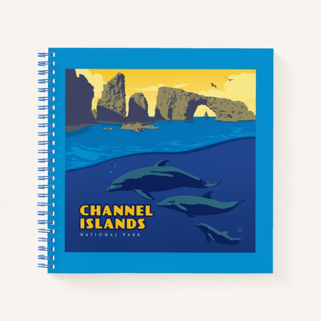 Channel Islands National Park Dolphins Notizbuch (Vorderseite)