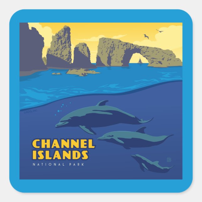 Channel Islands National Park Dolphins Quadratischer Aufkleber (Vorderseite)