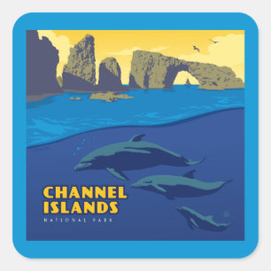 Channel Islands National Park Dolphins Quadratischer Aufkleber
