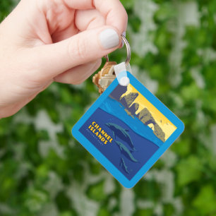 Channel Islands National Park Dolphins Schlüsselanhänger