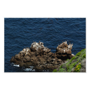 Channel Islands National Park Fotodruck