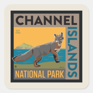 Channel Islands National Park Fox Quadratischer Aufkleber
