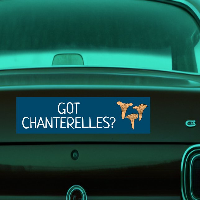 Chanterelle Mushrooms Fun Fungi CUSTOMIZE IT Autoaufkleber (Chanterelle Mushrooms Fun Fungi CUSTOMIZE IT Bumper Sticker
)