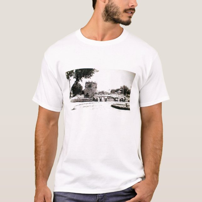 Chanute Kansas Affe-Insel T-Shirt (Vorderseite)