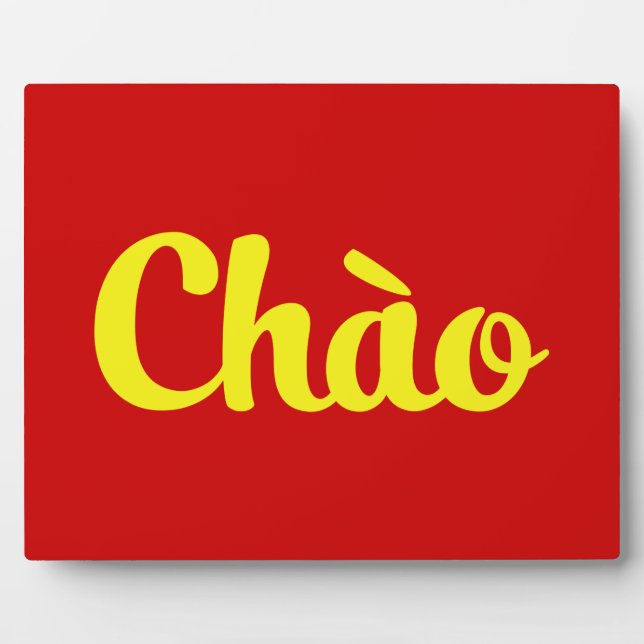 Chào / Hello ~ Vietnam / Vietnamese / Tiet ng Vivi Fotoplatte (Vorderseite)