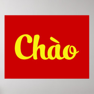 Chào / Hello ~ Vietnam / Vietnamese / Tiet ng Vivi Poster