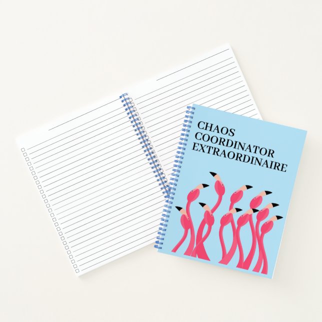 Chaos Coordinator Extraordinaire Funny Teacher's Notizbuch (Innenseite)