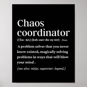 Chaos-Koordinator lustige Definition Poster
