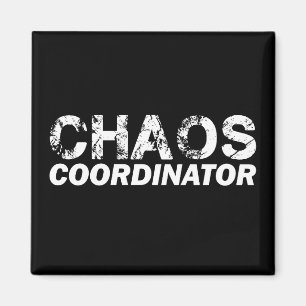 Chaos-Koordinator Magnet