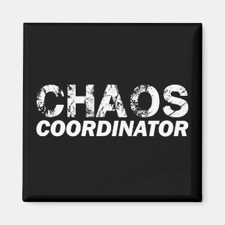 Chaos-Koordinator Magnet