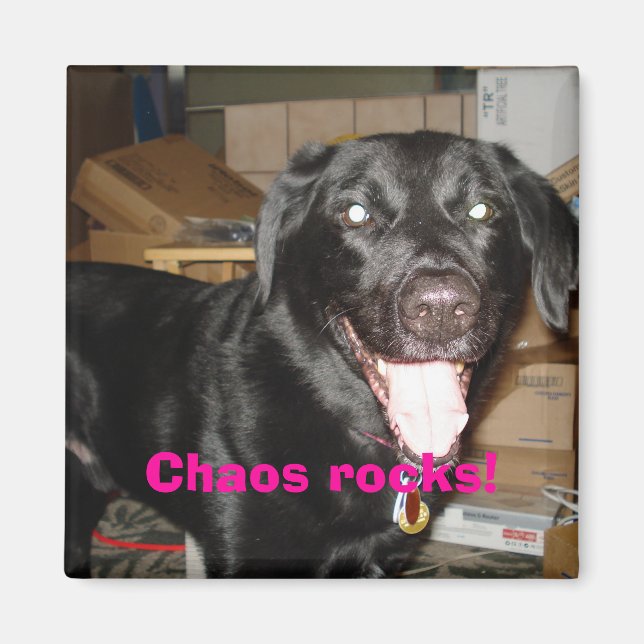 Chaos Steine! Magnet (Vorne)