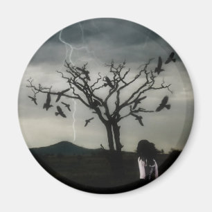 Chaos-Theorie Magnet