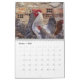 Chaotic Chicken Portraits 2024 Kalender (Okt 2025)