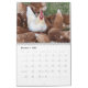 Chaotic Chicken Portraits 2024 Kalender (Dez 2025)
